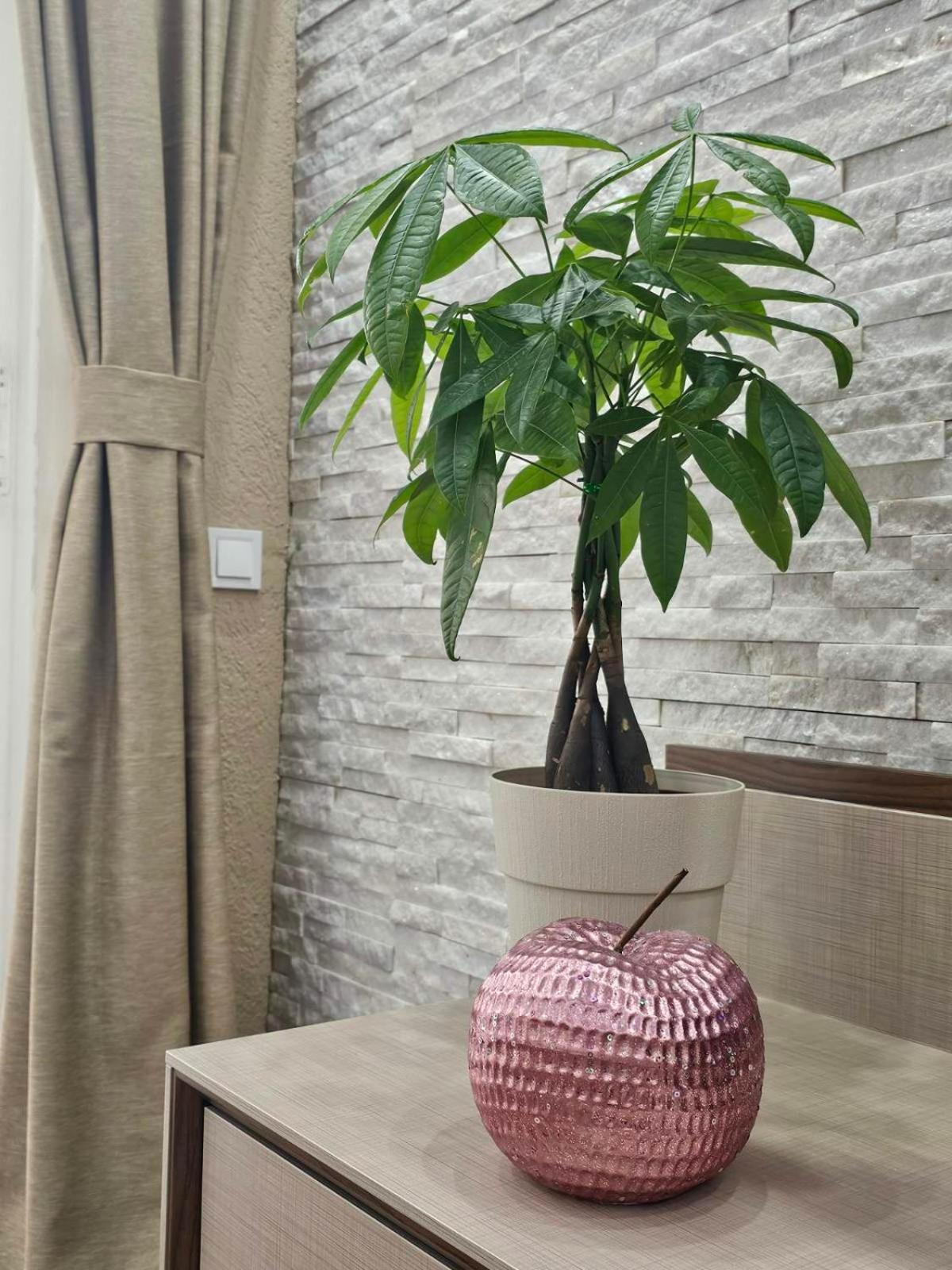 Sun Rays Apartment Котор Екстериор снимка